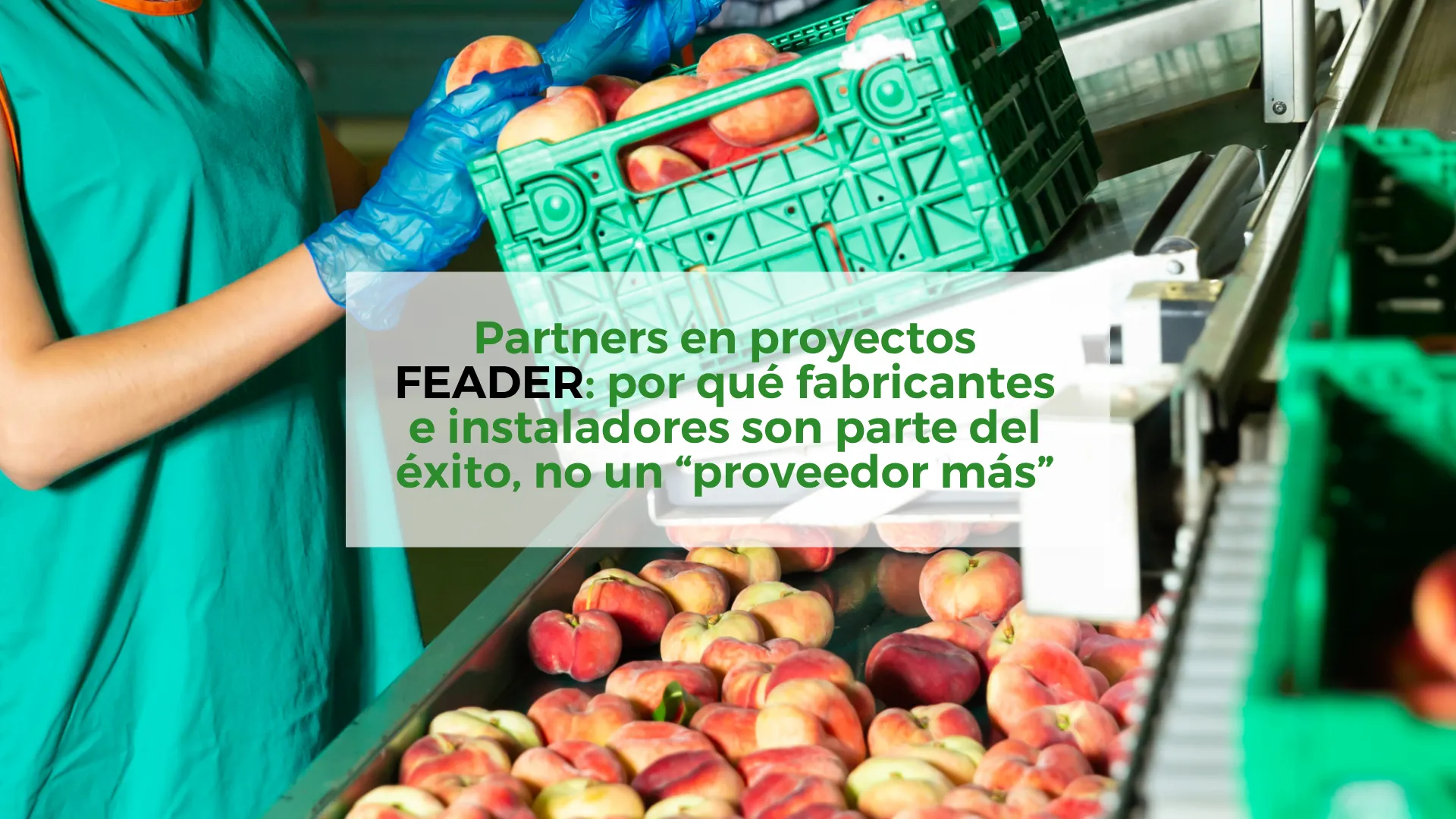 Partners-en-proyectos-FEADER:-por-qué-fabricantes-e-instaladores-son-parte-del-éxito,-no-un-“proveedor-más”